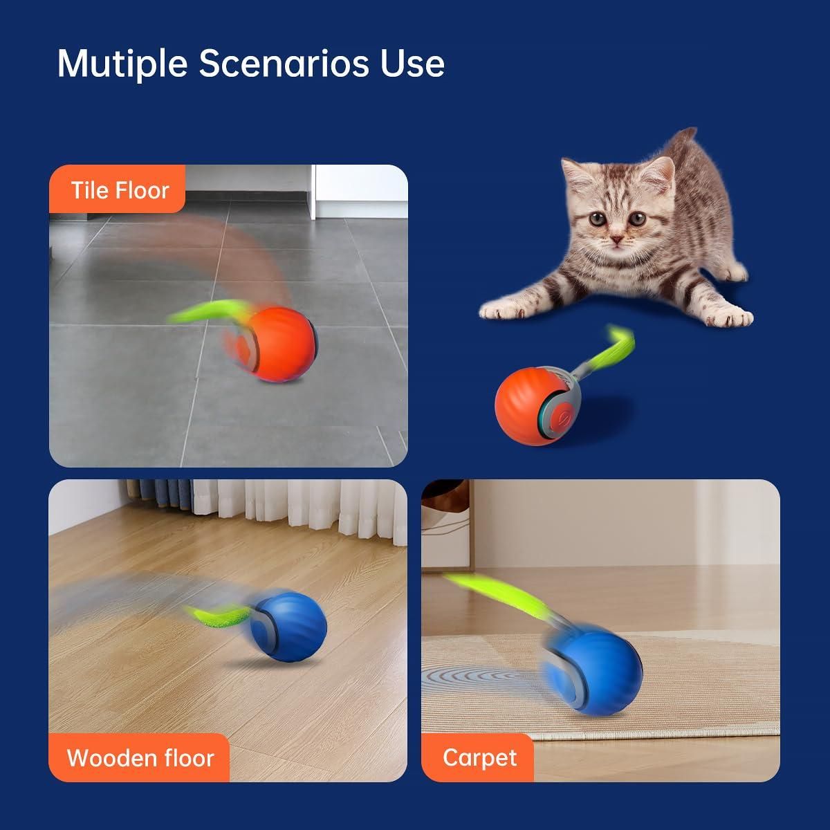 Rolling Cat toy Ballᵀᴹ
